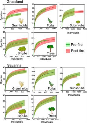 No Net Loss of Species Diversity After Prescribed Fires in the Brazilian Savanna